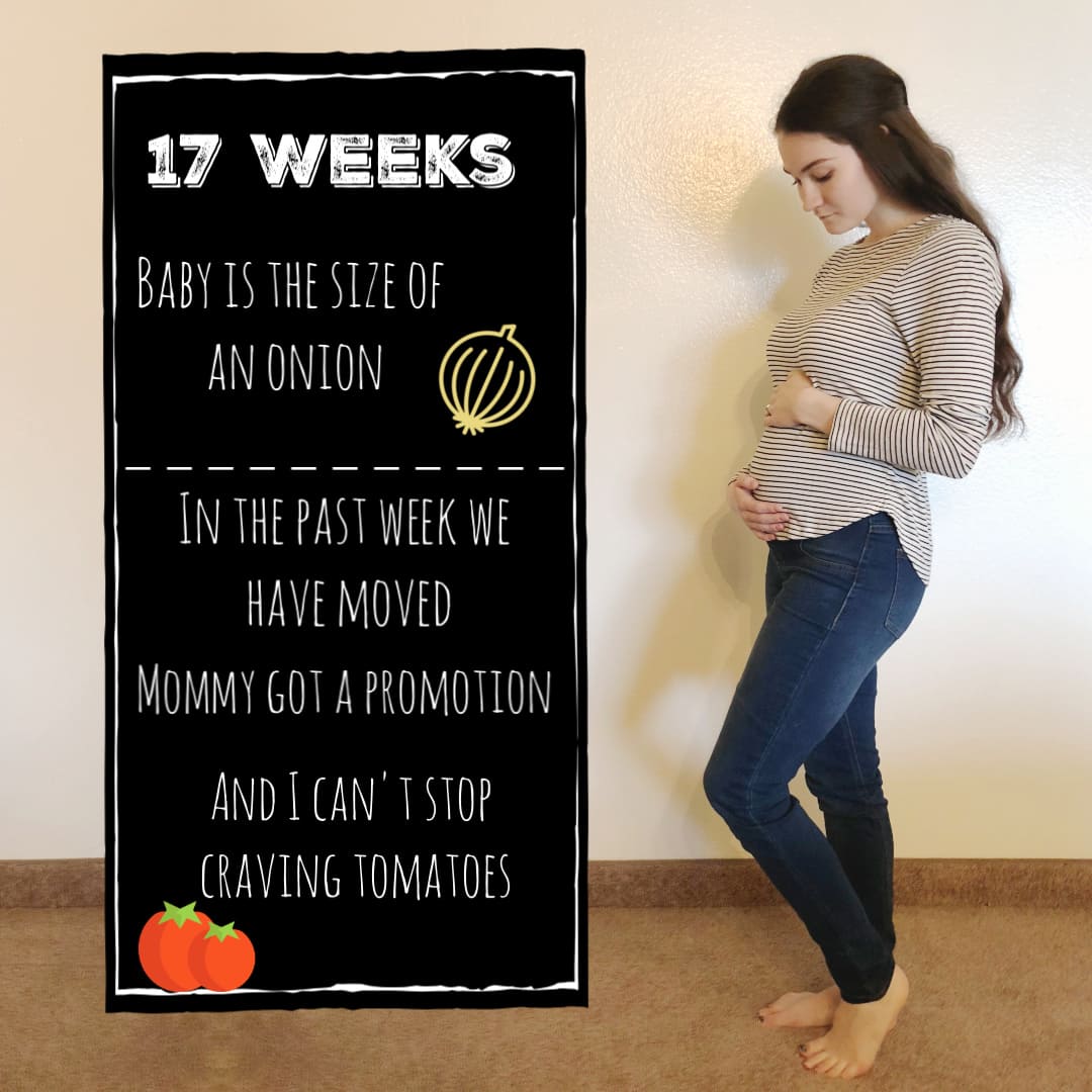 17 Weeks Pregnant