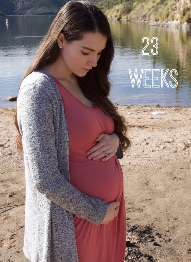 23 weeks
