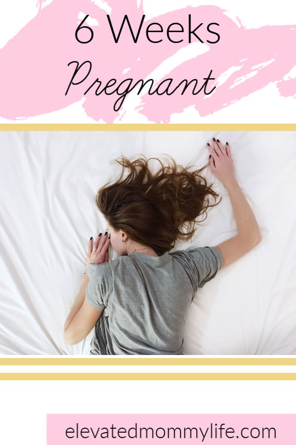 travel 6 weeks pregnant