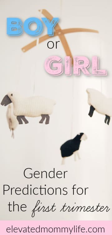 Boy or Girl? Gender Predictions
